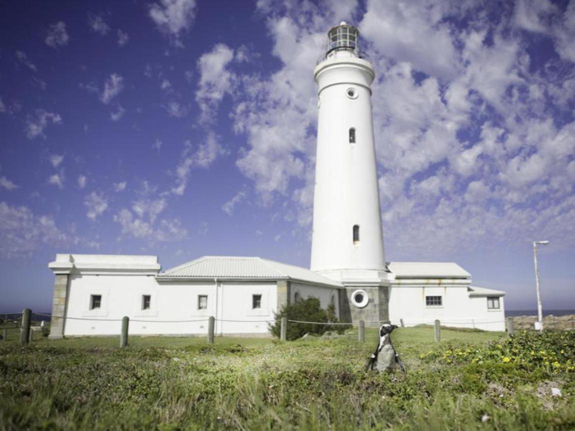 Hotel Seals Backpackers Cape St. Francis Esterno foto