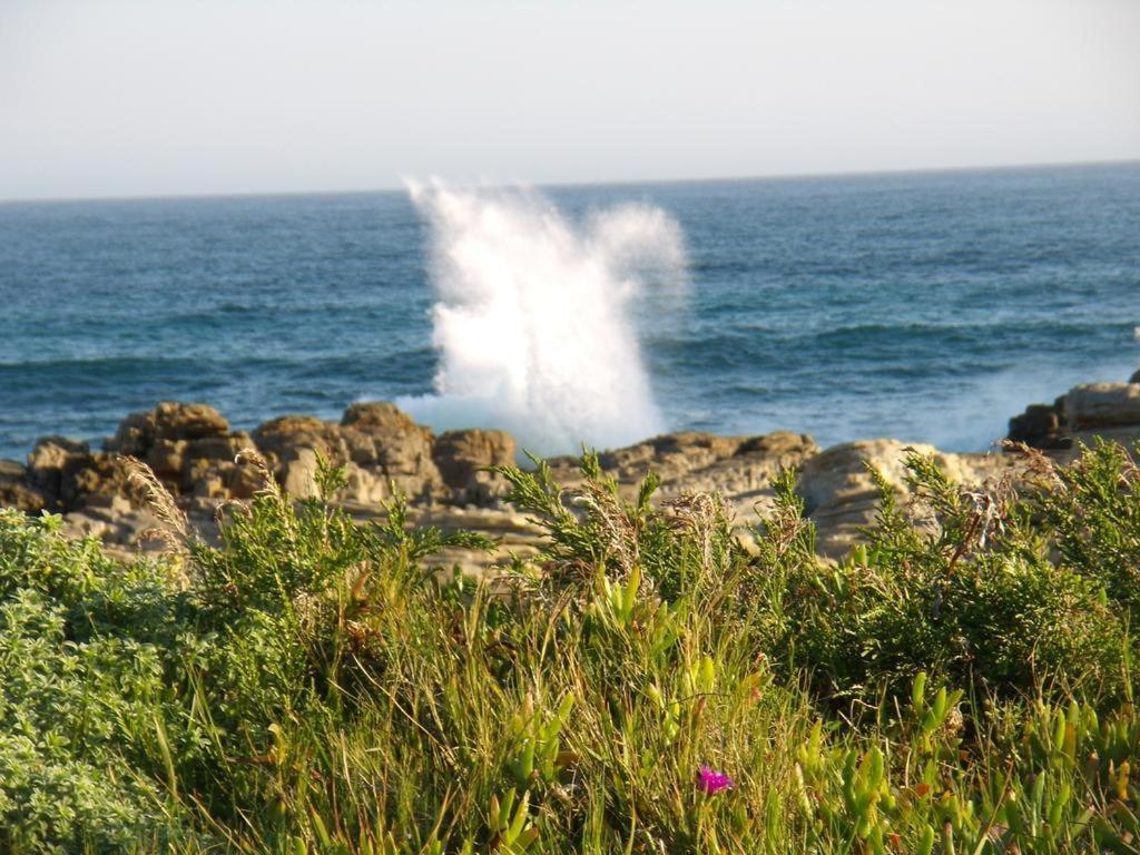 Hotel Seals Backpackers Cape St. Francis Esterno foto